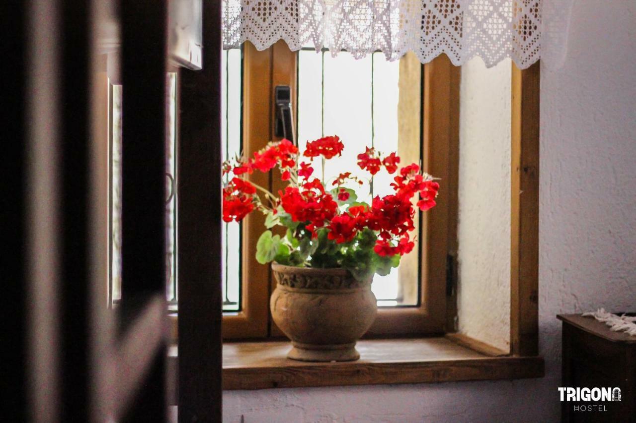 Trigona Hostel Гирокастра Экстерьер фото
